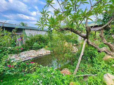 Bán nhà vườn 1353m2 Diên Khánh, Khánh Hòa
