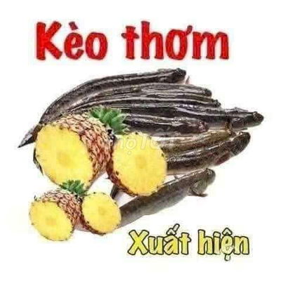 Chính Chủ Cần Bán Nền Trung Tâm Thesoicity _ Vị Trí Đẹp _ Giá Tốt