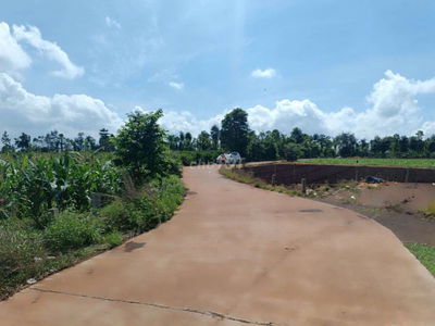 🏡 Bán đất làm nhà vườn giá rẻ tại Hoà Khánh