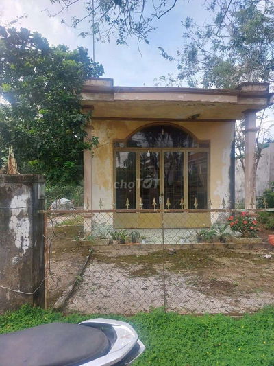 BÁN ĐẤT THỊ TRẤN CÁT TIÊN NGAY SAU UBND TT CÁT TIÊN