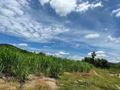 2000M2 ĐẤT SÁT SUỐI GIÁ RẺ , SỔ ĐỎ