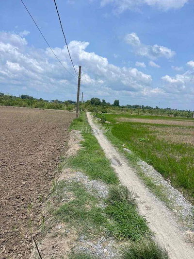 🔶4562m đất lúa thuộc thị trấn Cần Giuộc Long An🌈 💥Đường 3m cách đường