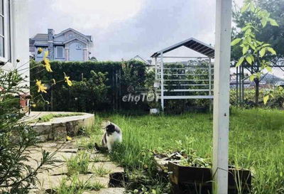 Bán Lỗ Nhà Tâm Huyết 235m' Có Sân Vườn Giá RẺ