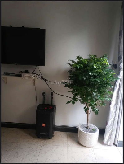 🌻Bán Nhà-2 tầng đúc ,Hẻm ô tô , Gần Bình Long, 39M2,Chị 3.9 TỶ