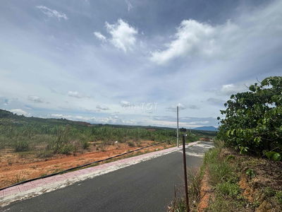 đất ven đà lạt đầu tư nghĩ dưỡng