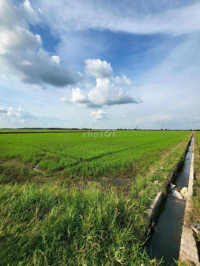 Đất ruộng 16 công - Trảng Bàng Tây Ninh