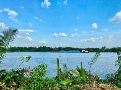 Đất thổ 609m2 mt view Sông Vàm Cỏ xã Tân Chánh rẻ 700tr