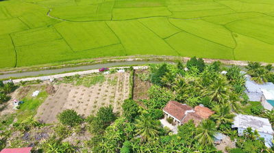 Bán đất 209m2 view cánh đồng đẹp Xã Diên Khánh, Khánh Hòa