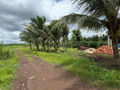 ngân hàng thanh lý gấp 3 sào đất ngay dân cư view ruộng rất đẹp