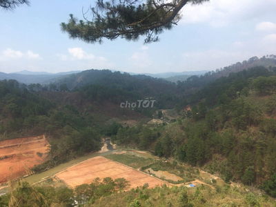 Đất nghỉ dưỡng - 200m mặt tiền suối trong vắt P. Langbiang Lâm Đồng