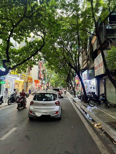 PHỐ VIP ĐỘI CẤN- GẦN Ô TÔ- NỞ HẬU- 4 TẦNG- 39M2- 7.85 TỶ
