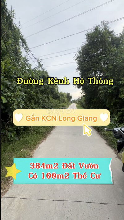 🌳 BÁN ĐẤT VƯỜN 384m2 GẦN KCN LONG GIANG –CÓ 100m² THỔ CƯ CHỈ 999 TRIỆU