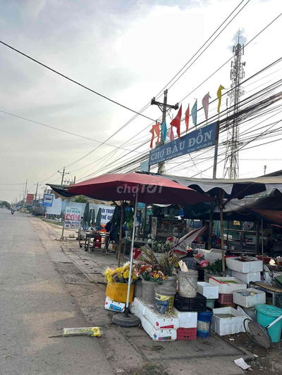 BÁN GẤP M.TIỀN DT782 5x46Mét  SỔ RIÊNG H. GÒ Dầu Tây Ninh