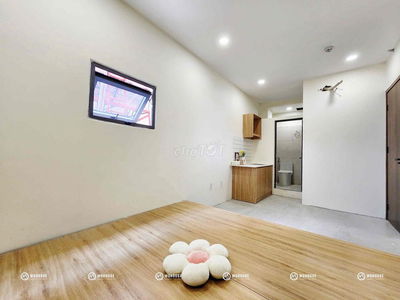 Cho thuê căn hộ studio new 100% có thang máy ngay Trường Chinh TB