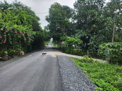Bán 1ha đất  mặt tiền đường nhựa. QUY HOẠCH ĐẤT Ở