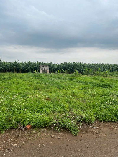 Bán đất XÃ GIA Kiệm - Tây Kim - 2000m2- 20x100 mặt tiền đường .