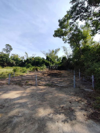Đất ở lâu dài 269m2. Chính chủ, phù hợp xây nhà ở lâu dài hoặc đầu tư
