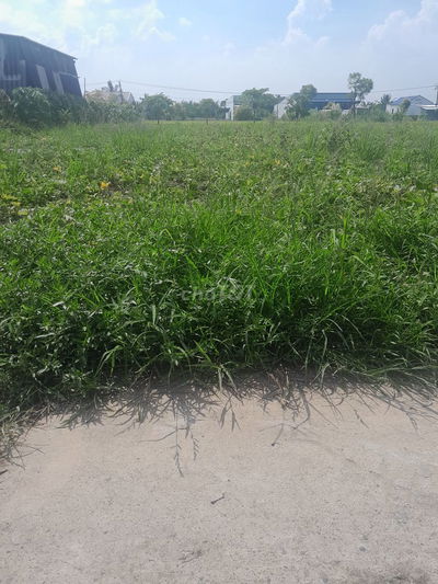 Đất 9x38m đường DH.01 xã Tân Phước, Gò Công Đông, Tiền Giang. Gần chợ