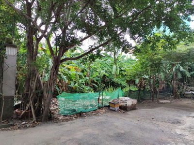 Đất SHR 235m² (12*20) đường B, Dự án Bình Dân - Hiệp Bình Chánh