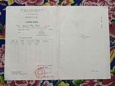 Chính chủ gửi bán nhà vườn đường Huỳnh Minh Mương, Hoà Phú, Củ Chi