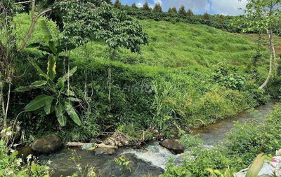 🌿 CƠ HỘI SỞ HỮU ĐẤT FARM NGHỈ DƯỠNG