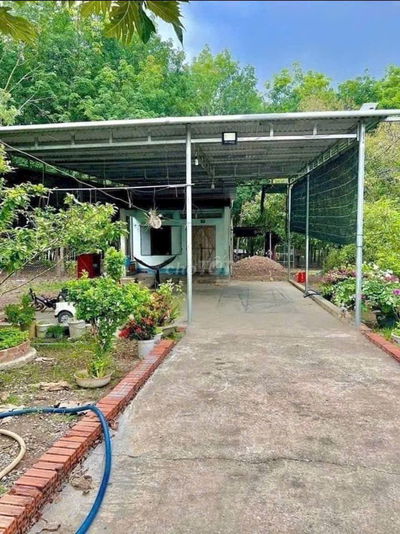 Đất thành phố 290tr bao sổ (541m2) có sẵn 100m2 thổ cư