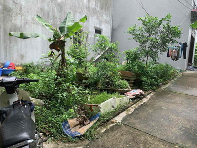 TÀI CHÍNH NHỎ, KHÔNG LỖI- ĐẤT SÁT VIN CỔ LOA, CẦU TỨ LIÊN