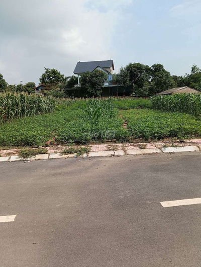 Bán Đất - Thái Lai(Minh Trí - Sóc Sơn) - 110M2 Full Thổ Cư - 2,7 Tỷ