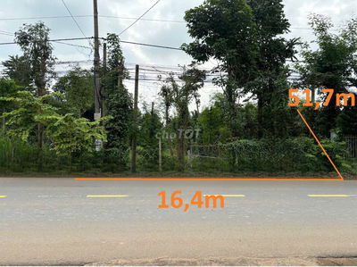 Bán gấp đất lớn gần 1 xào ngay trung tâm Xã Xuân Đông Đồng Nai