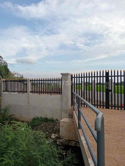 Cần Bán Đất 1550m2 - 10 tỷ Đường Trương Văn Đa Bình Chánh