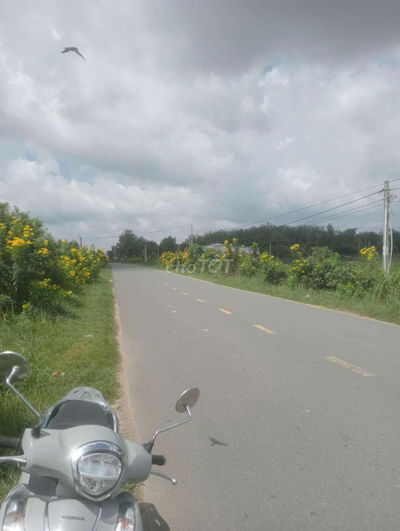 15x100=1500 có 300tc MT ĐƯỜNG NHỰA, sát hồ DẦU TIẾNG, view núi Bà Đen