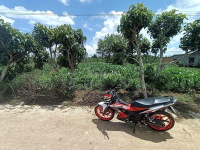 Đất Thổ Cư, Đường bê tông, Sổ Hồng Riêng bán gấp