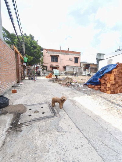 4 lô F0 mới ra sổ ngay đường Hiệp Bình, 60m2, giá 4.2 tỷ