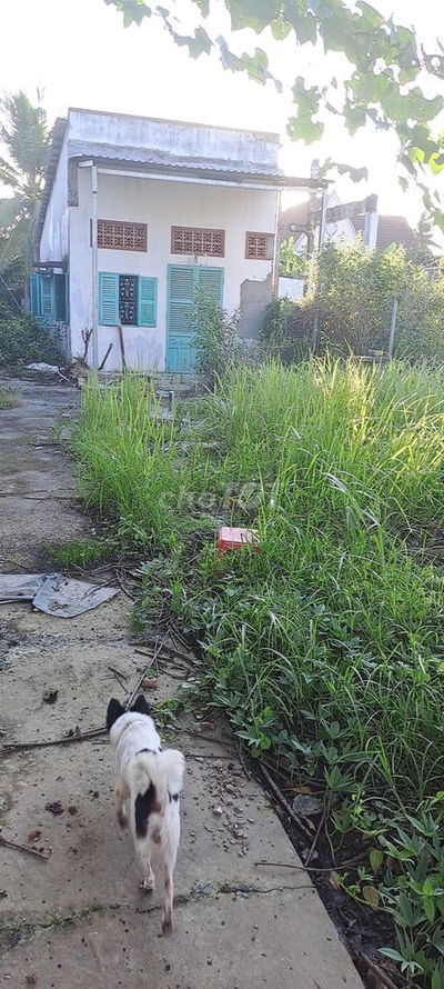 BÁN ĐẤT THỔ CƯ - 275M - NGUYỄN HỮU TRÍ LONG AN - NGANG 6.5 - GIÁ 3.2TỶ