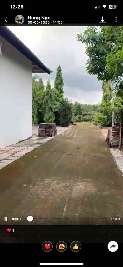 cần bán