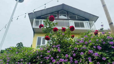 CHÍNH CHỦ BÁN FARM VIEW ĐẸP TIỆN NGHI, SẦU RIÊNG, CÀ PHÊ THU TỐT
