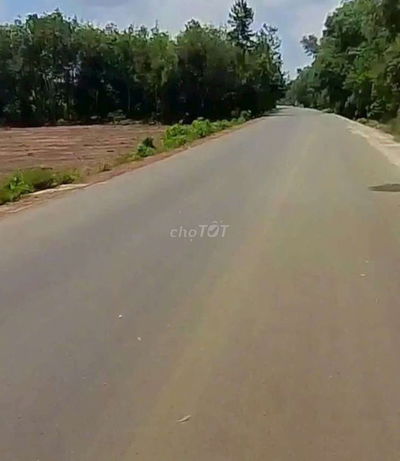 ĐẤT MẶT TIỀN ĐƯỜNG DT