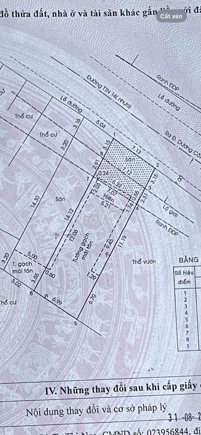 BÁN GẤP NHÀ MẶT TIỀN 7x25m TÂN THỚI NHÌ 14 HÓC MÔN GIÁ 5ty9