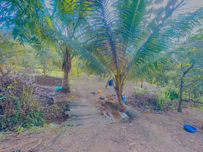 ĐẤT HTB  (22.000m2. 2ty100 Có Vườn Sẵn Bình Thuận