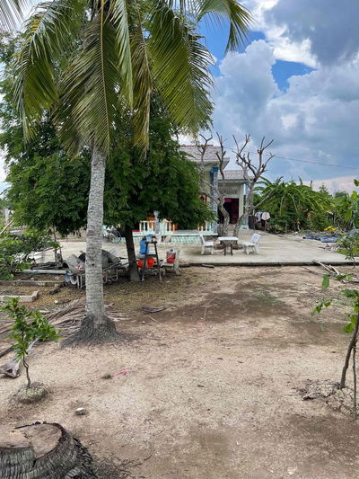 bán đất