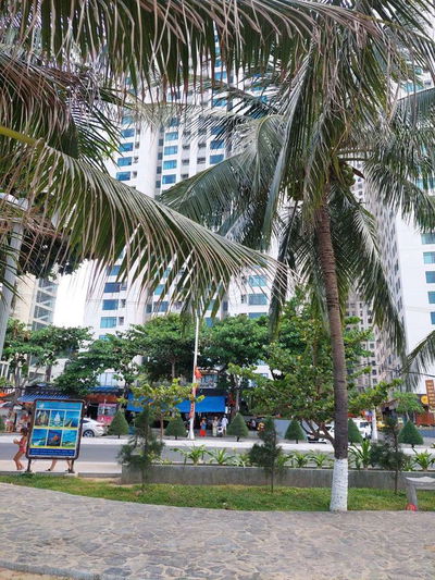 Căn hộ biển Mường Thanh Viễn Triều