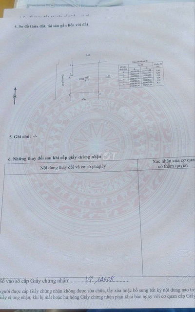 Kiệt ô tô Bình Kì 81m2 vuông vức