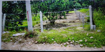 Chính chủ cần bán đất thổ cư sẵn sổ