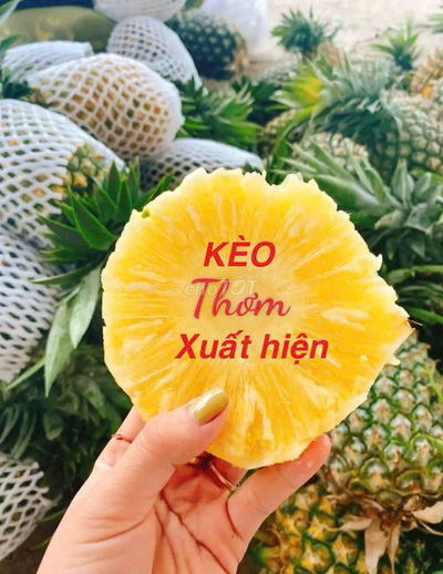 Thụt nhà thế chấp 2 năm giao nhà