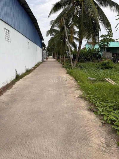 Bán 690 m2 lúa đường xe tải đối diện công ty, gần UBND, trường học,