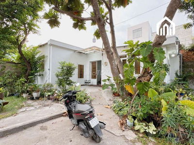 Cho thuê nhà nguyên căn, sân vườn, giờ giấc tự do