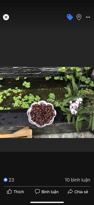 Nhà gần chợ An Nhơn Gò Vấp,  diện tích đất 80m2