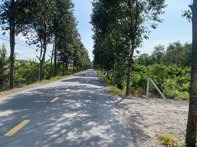 2880m2 đất MT đường nhựa (300m2 thổ cư) Ấp 10, Lương Hòa, Bến Lức, LA