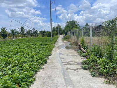 🏘️800m vườn  hàng rào kiên cố Xã Hưng Long Bình Chánh ✅ 🔶Cách uỷ ban ,