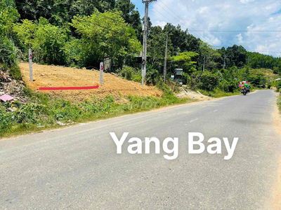 Chính chủ cần chuyển nhượng đất thổ cư
